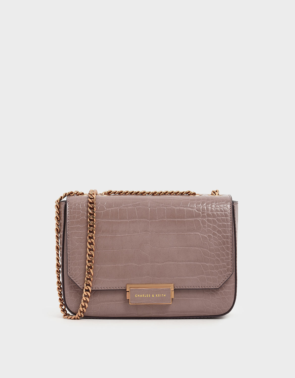 Croc Effect Charles And Keith 2024 favors