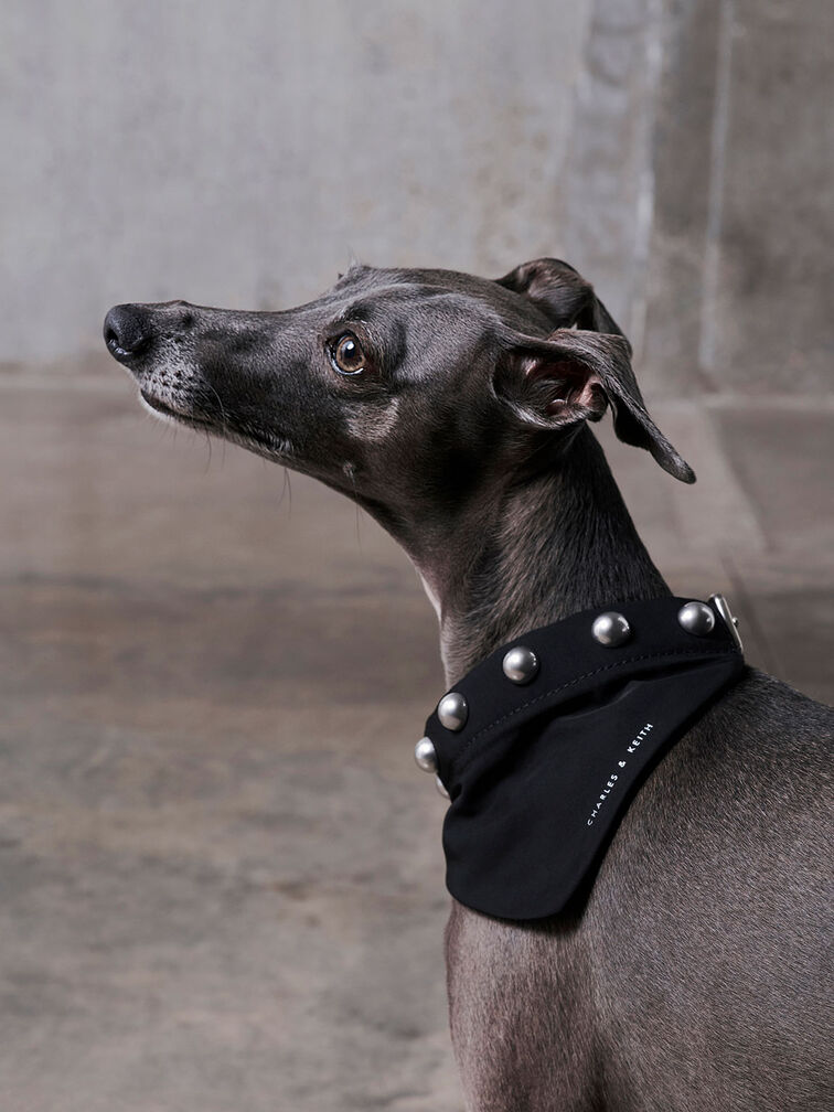 Metallic Bead-Embellished Pet Collar, Noir, hi-res