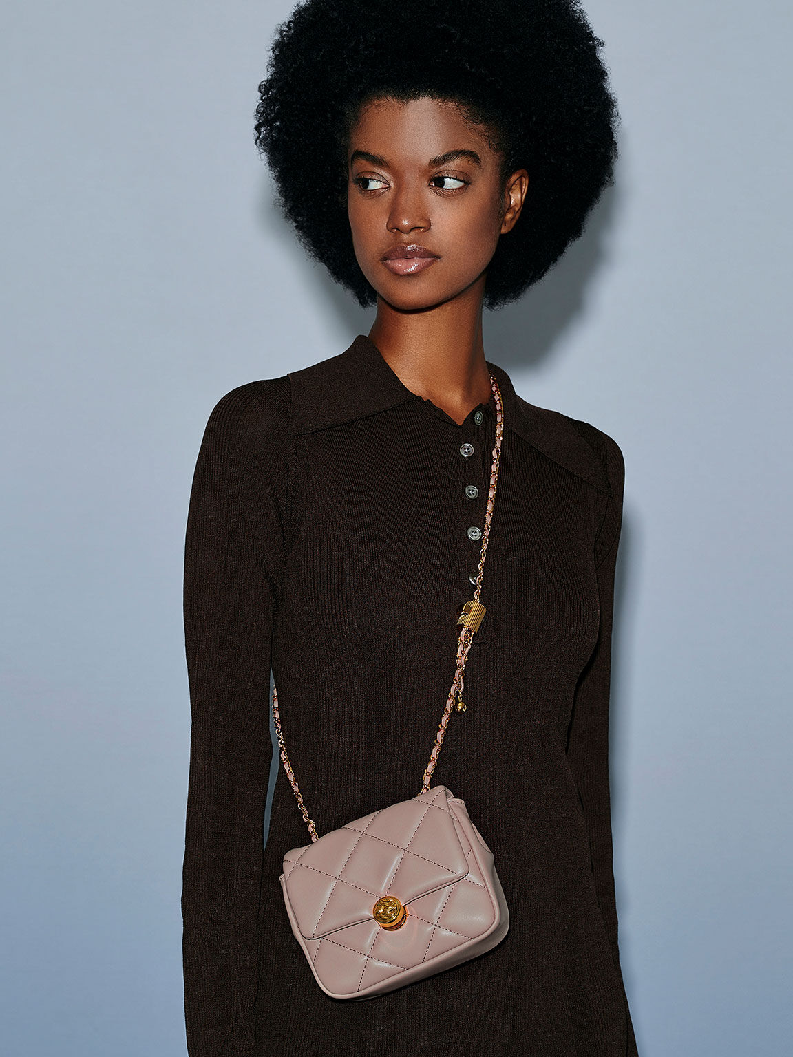 Chain handle evening sales bag charles and keith