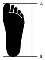A到B的距離就是您的腳掌長度。