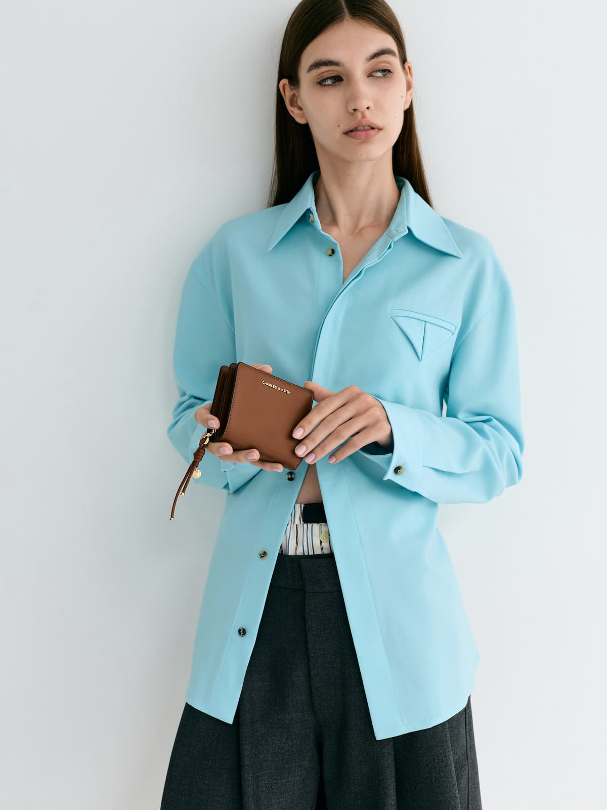 Chocolate Everleigh Zip-Around Small Wallet - CHARLES & KEITH