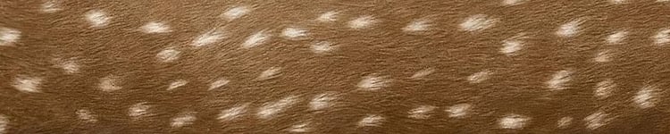 banner tile