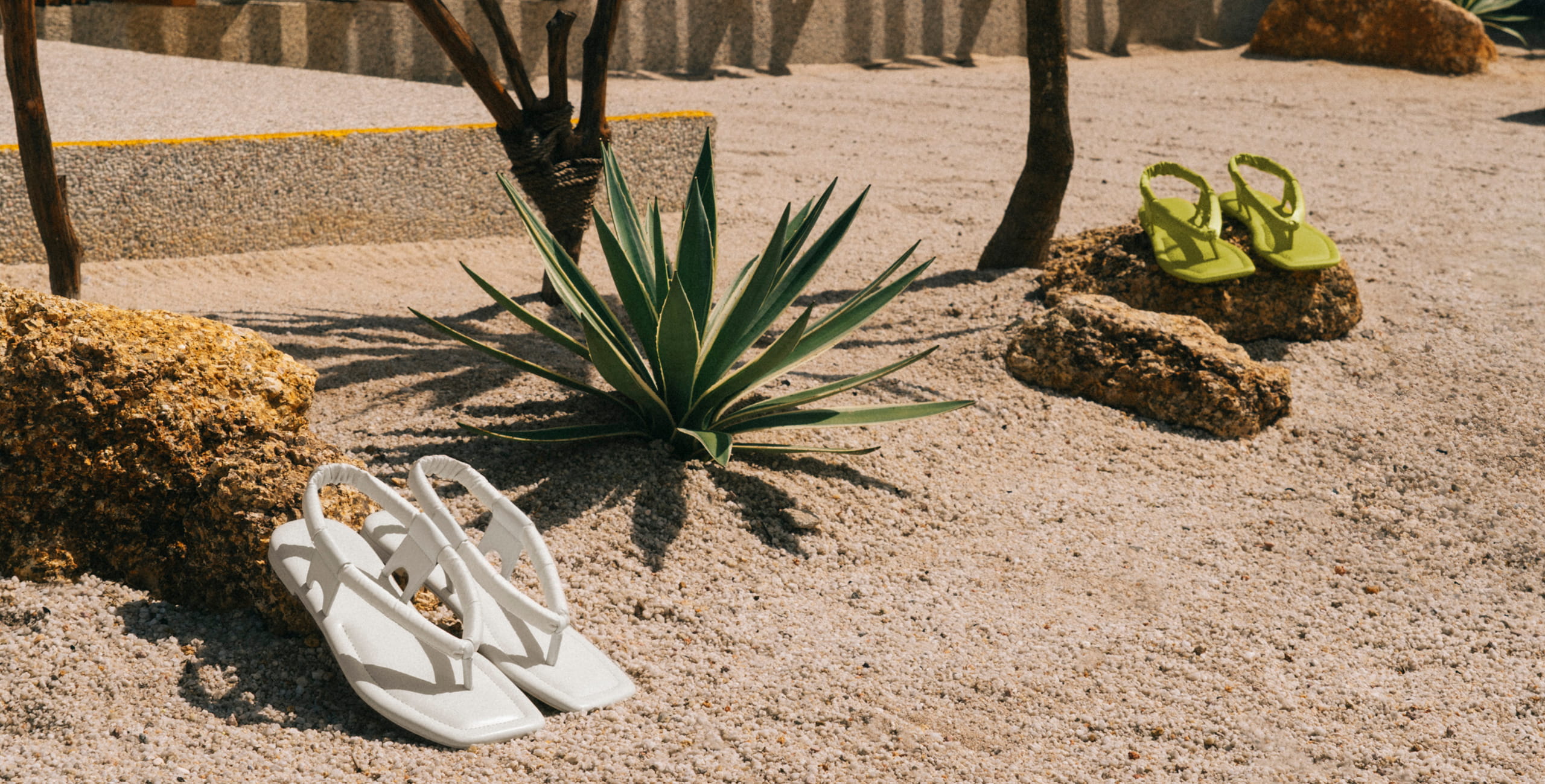CK Muse DESERT TONES