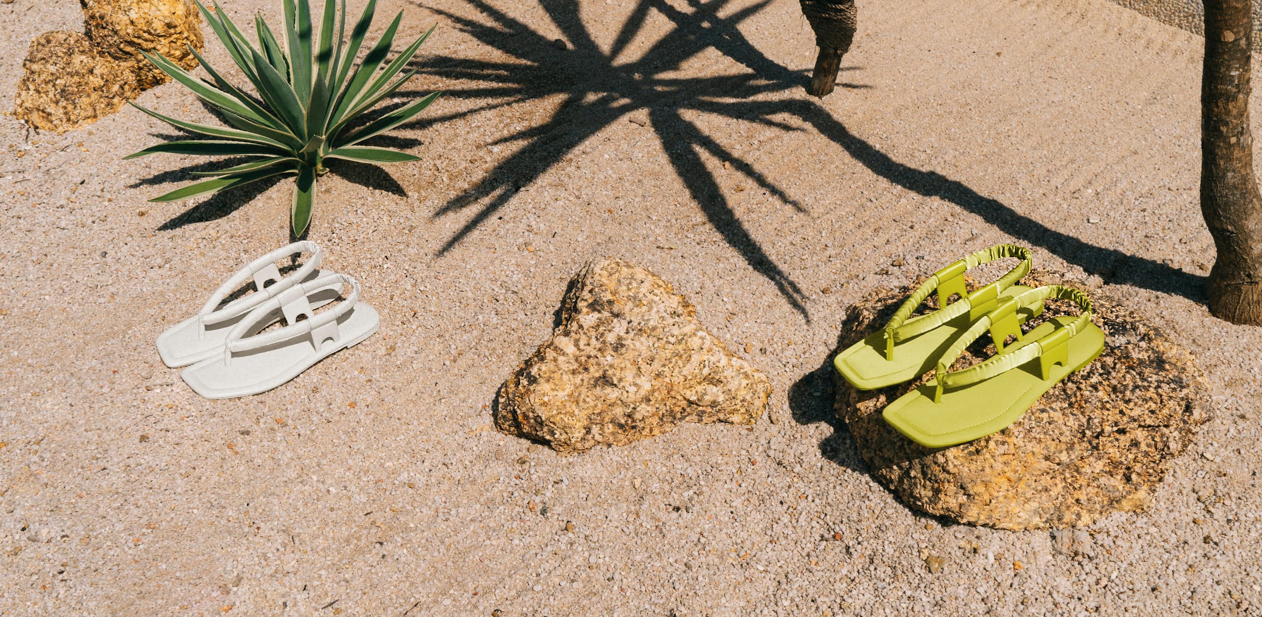 CK Muse DESERT TONES