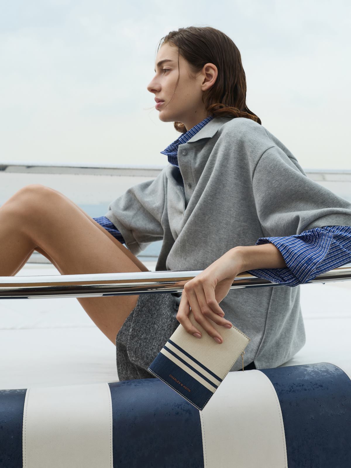 Noelle 條紋護照套 - 混色 - CHARLES & KEITH