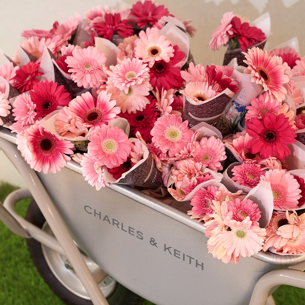 CHARLES & KEITH Whispers of Spring, Tokyo - CHARLES & KEITH