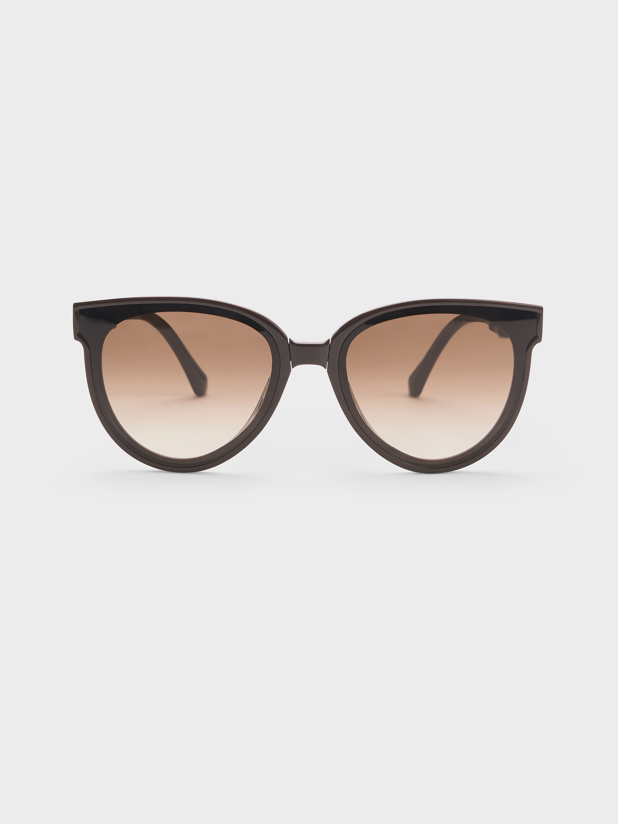 Charles & Keith - Brea Foldable Aviator Sunglasses In Brown