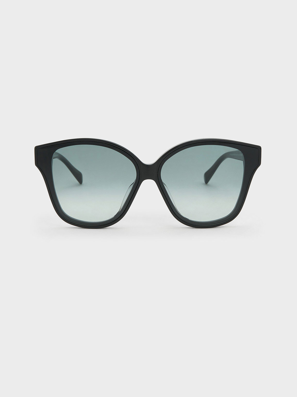 Shop Charles & Keith Recycled Acetate Classic Butterfly Sunglasses In Black