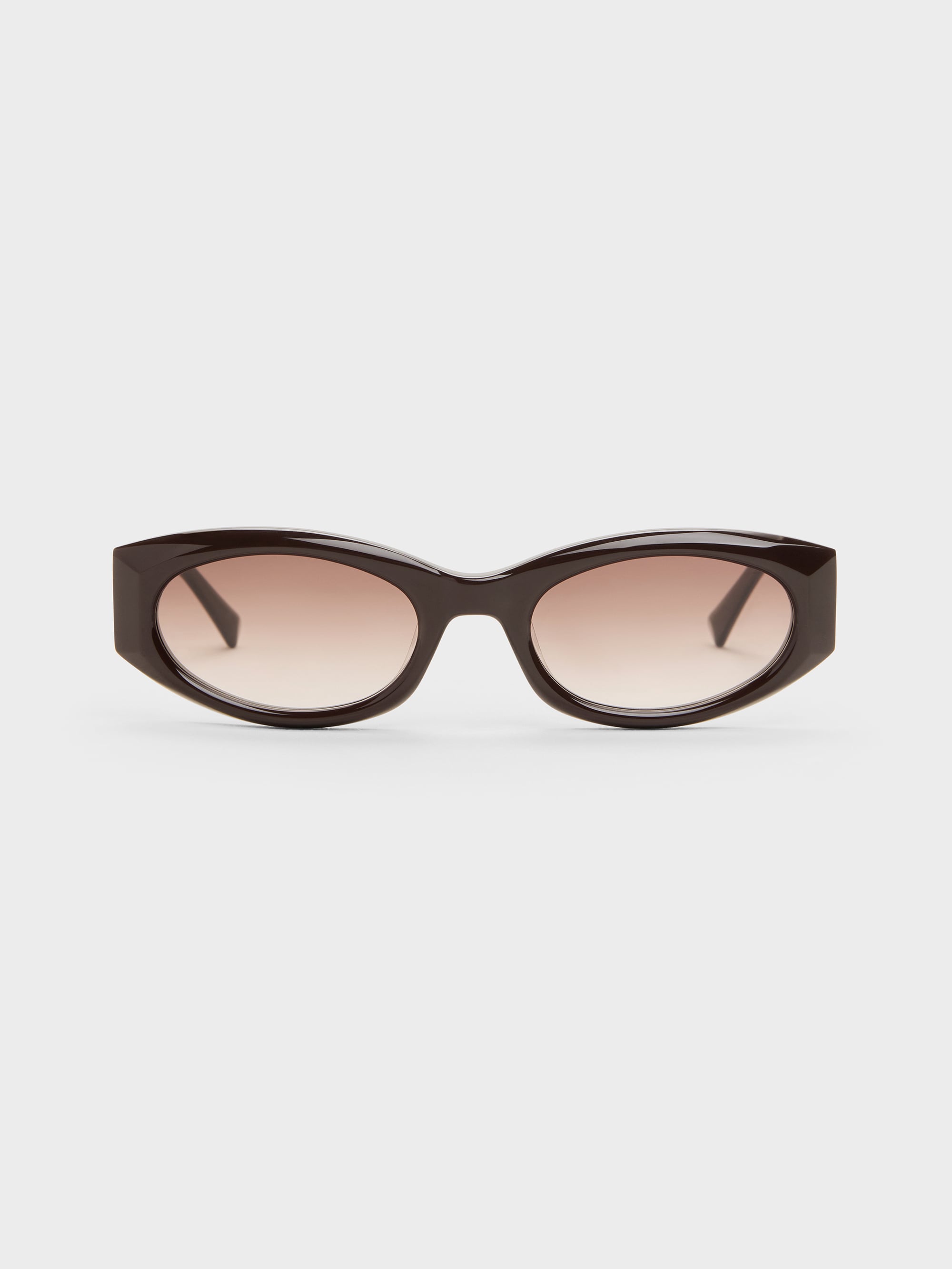 Aubrey Oval Sunglasses - Espresso Brown - CHARLES & KEITH SG