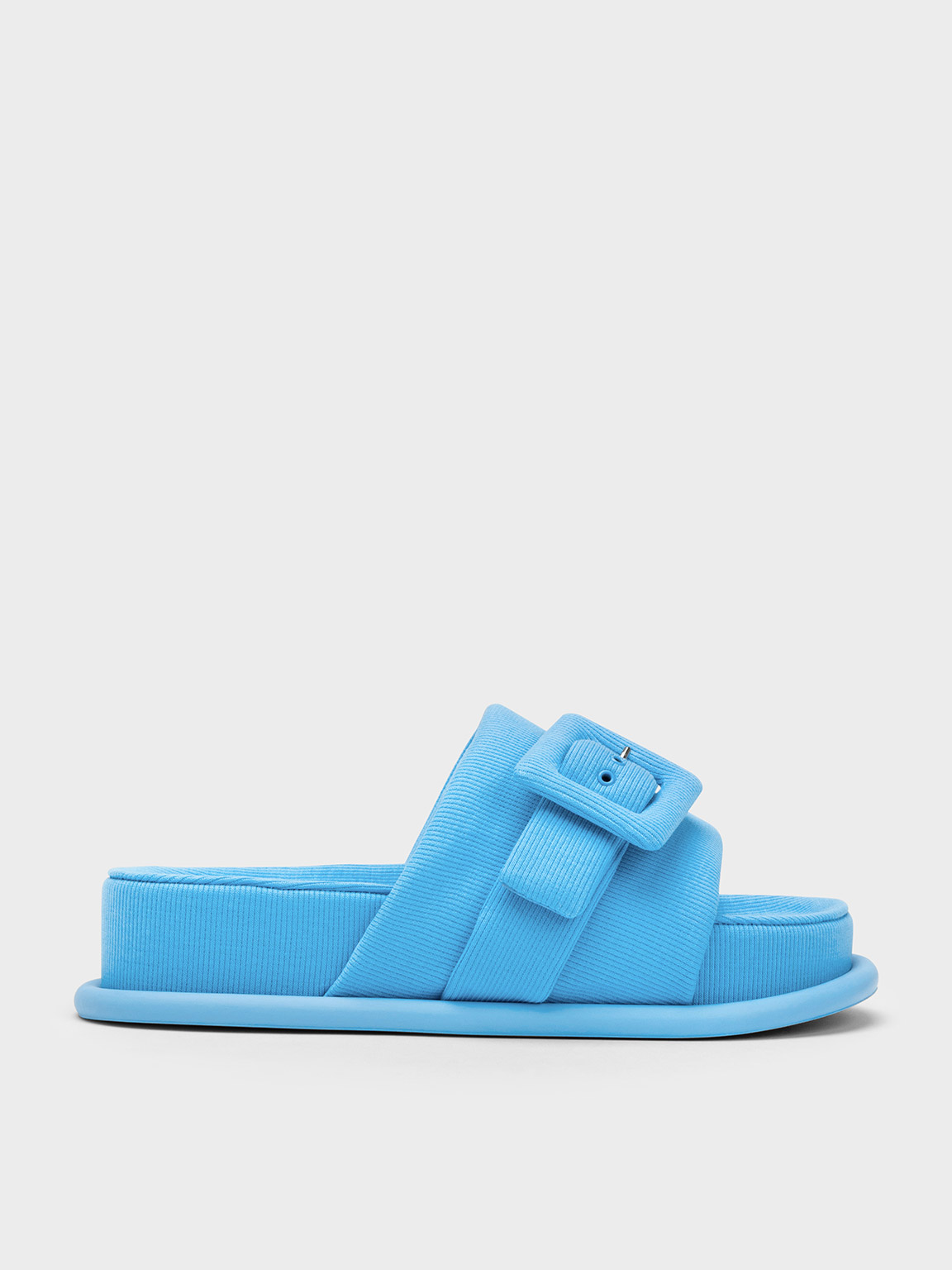 Blue Sinead Woven Buckled Slide Sandals - CHARLES & KEITH MY